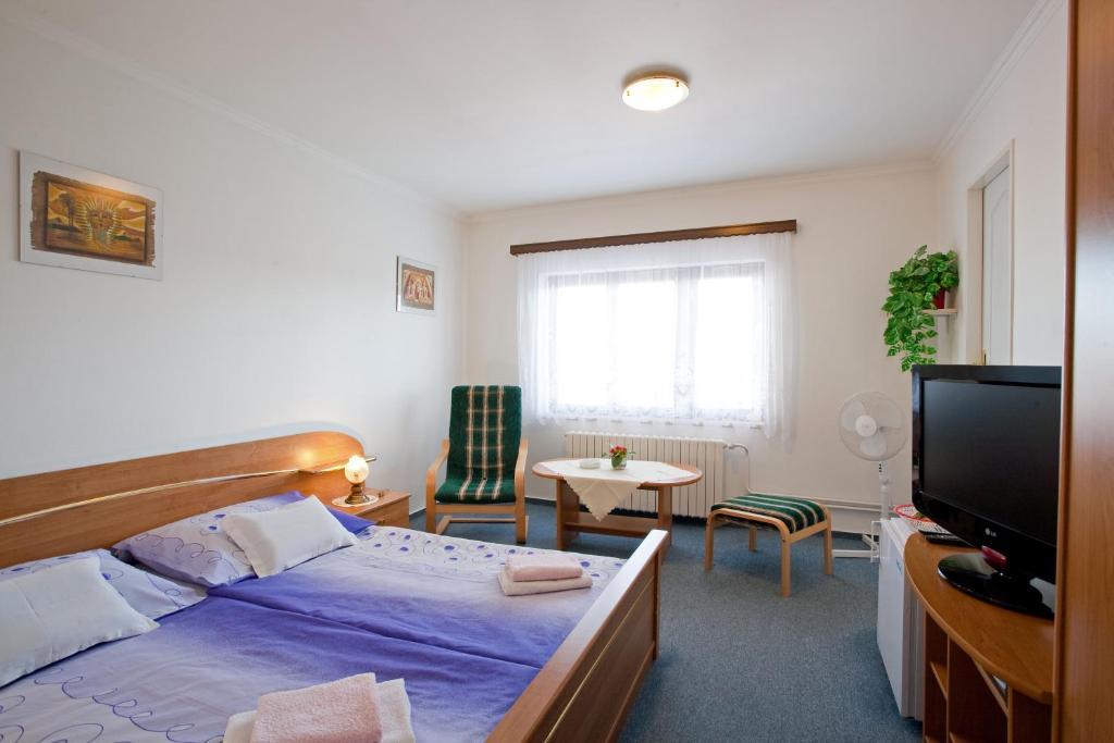 Pension Minor Ceske Budejovice Rum bild