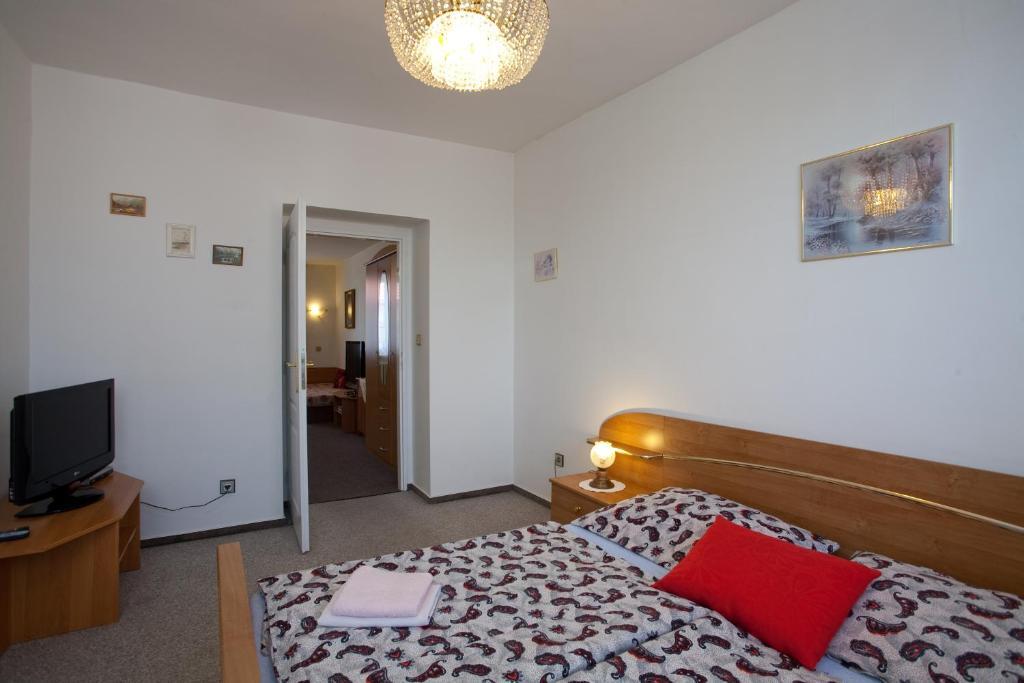 Pension Minor Ceske Budejovice Rum bild