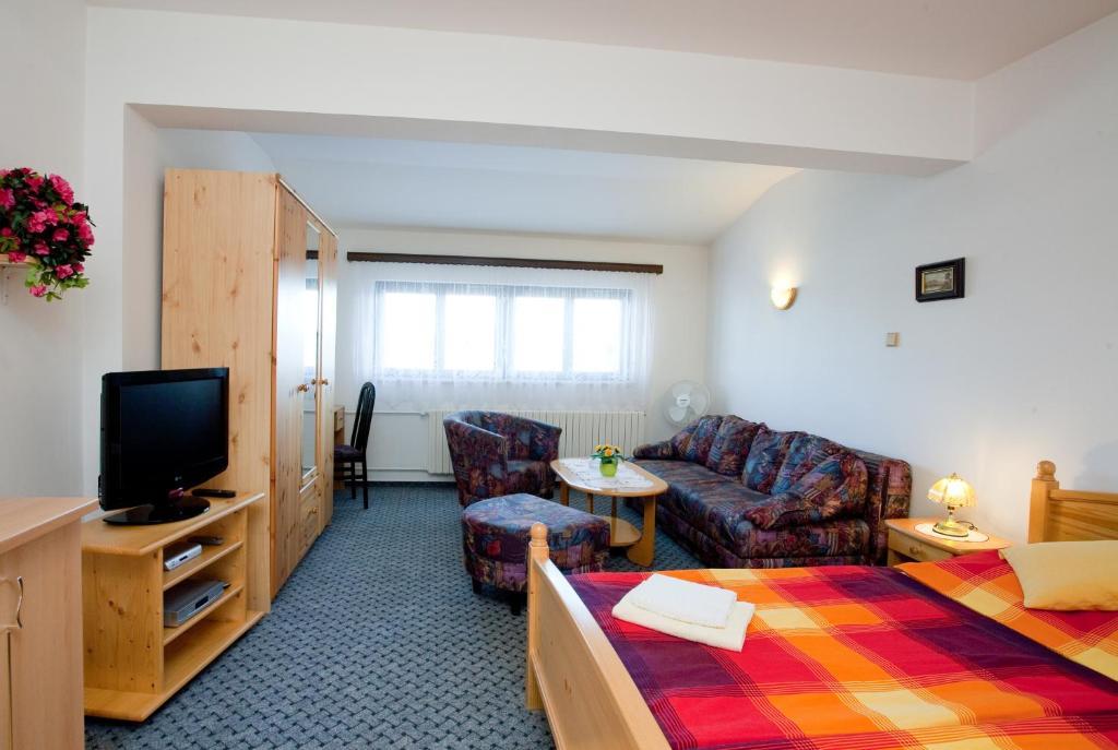 Pension Minor Ceske Budejovice Rum bild